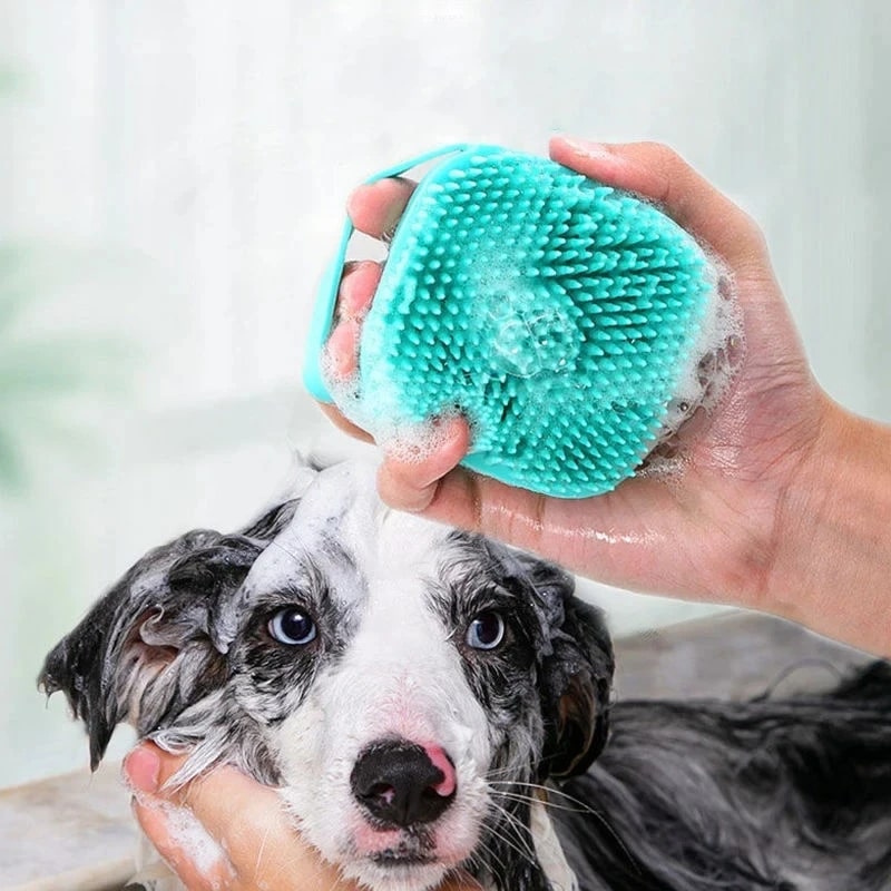 Dog Brush with Shampoo Dispenser