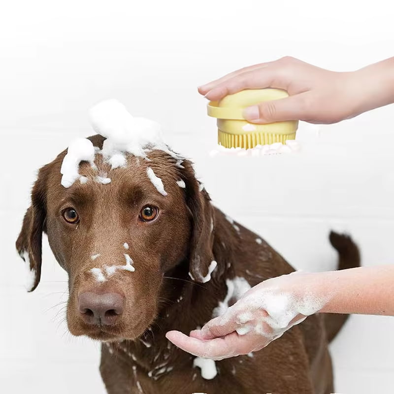 Dog Brush with Shampoo Dispenser