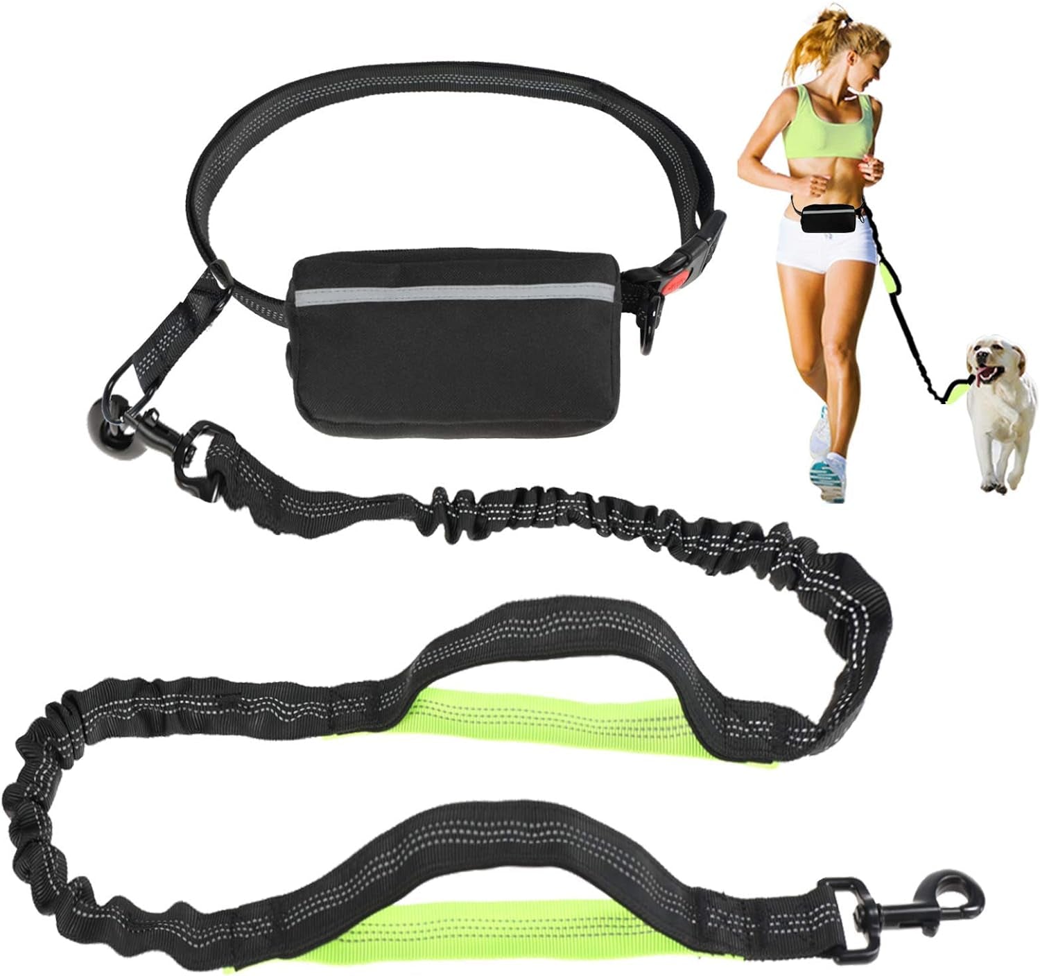 Hands Free Dog Leash